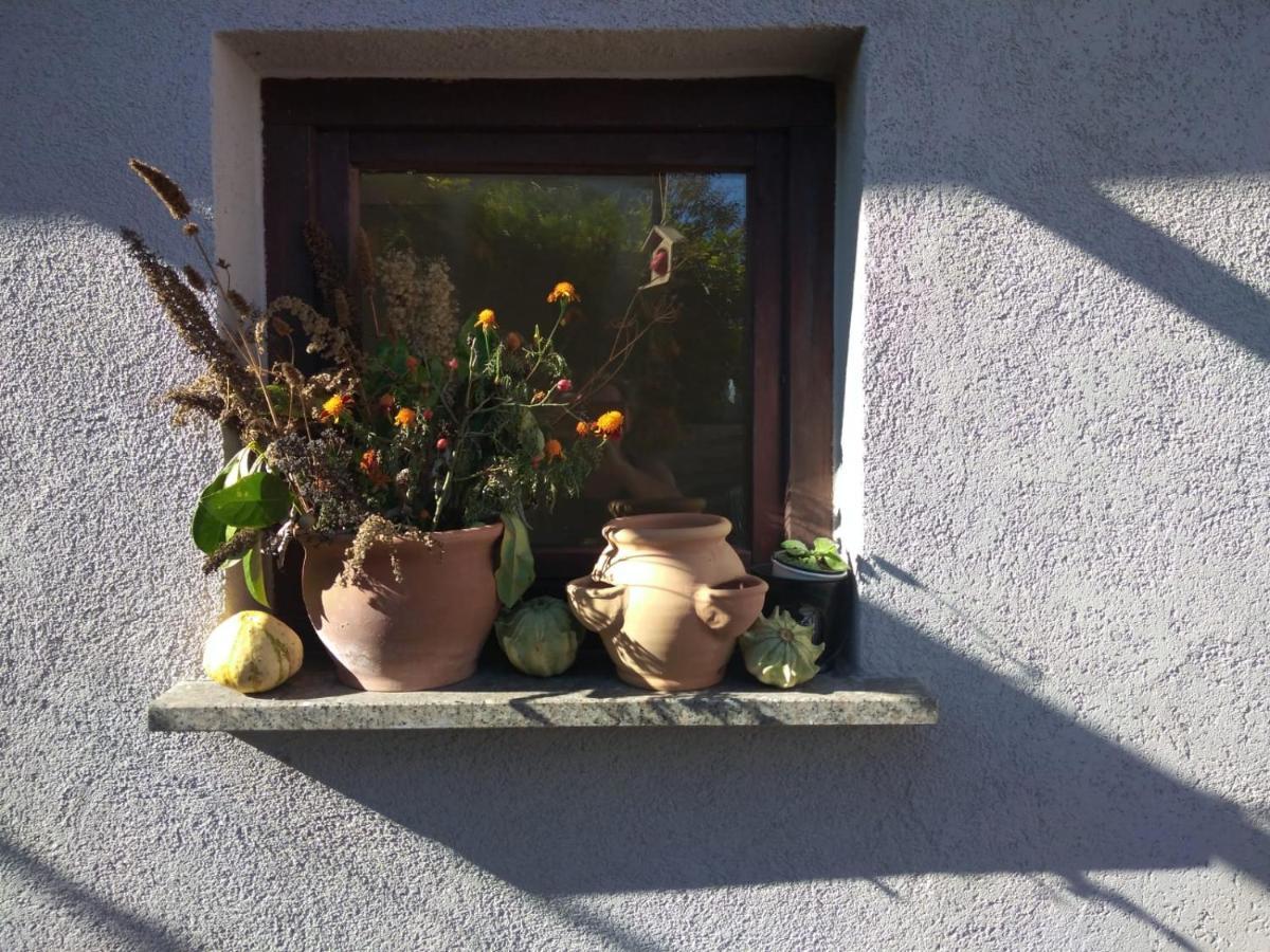 Ferienhaus Badetz Extérieur photo